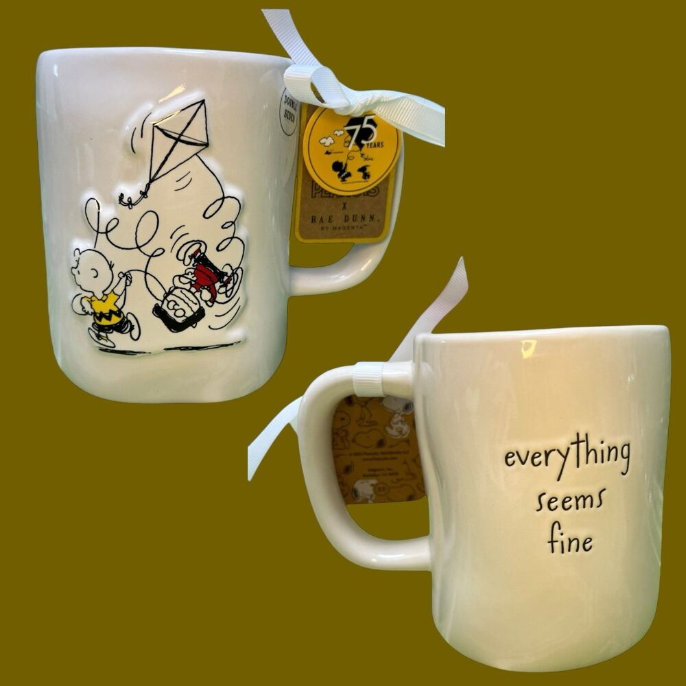 Rae Dunn x Peanuts Charlie Brown everything seems fine Mug
